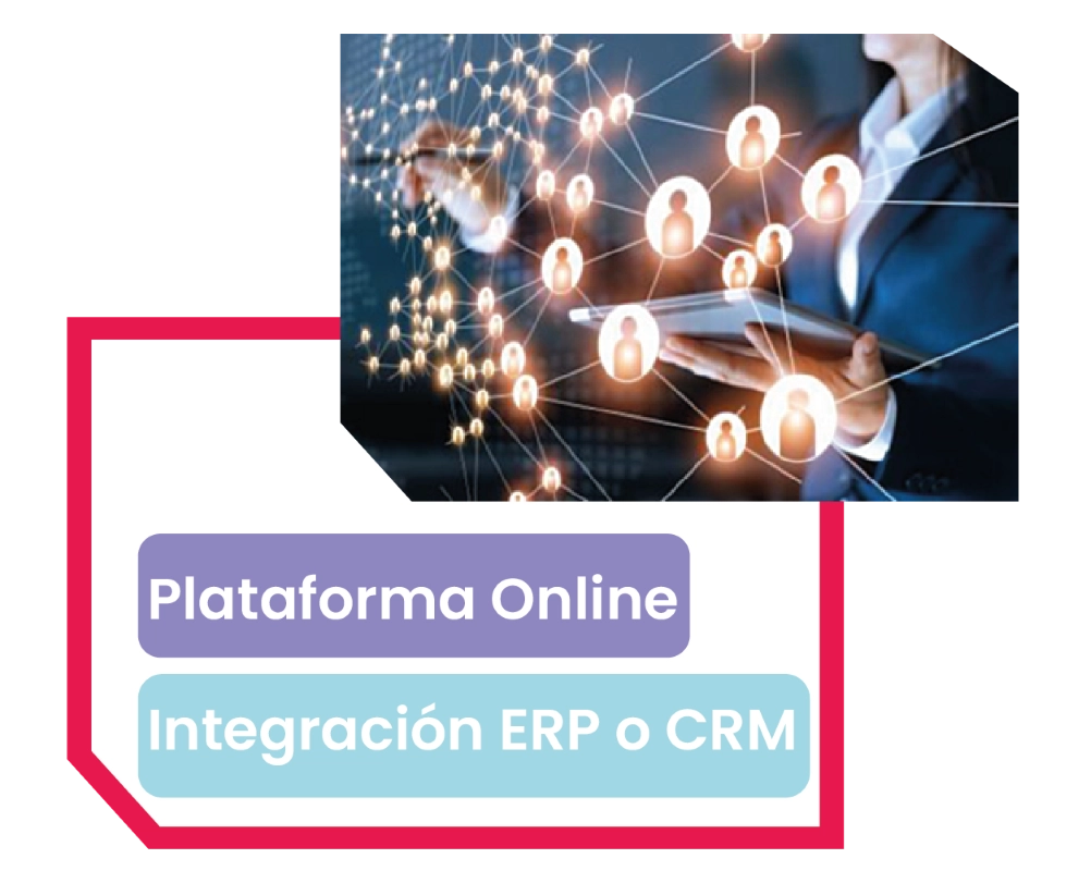 resultados, ingresos y beneficios de SMS para empresas